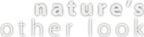 slogan